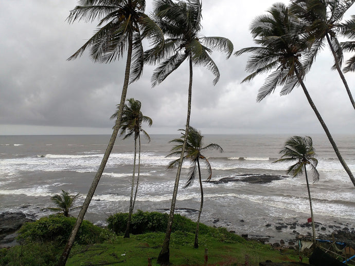 Monsoon Goa